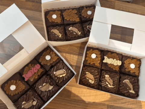 Brownie Box